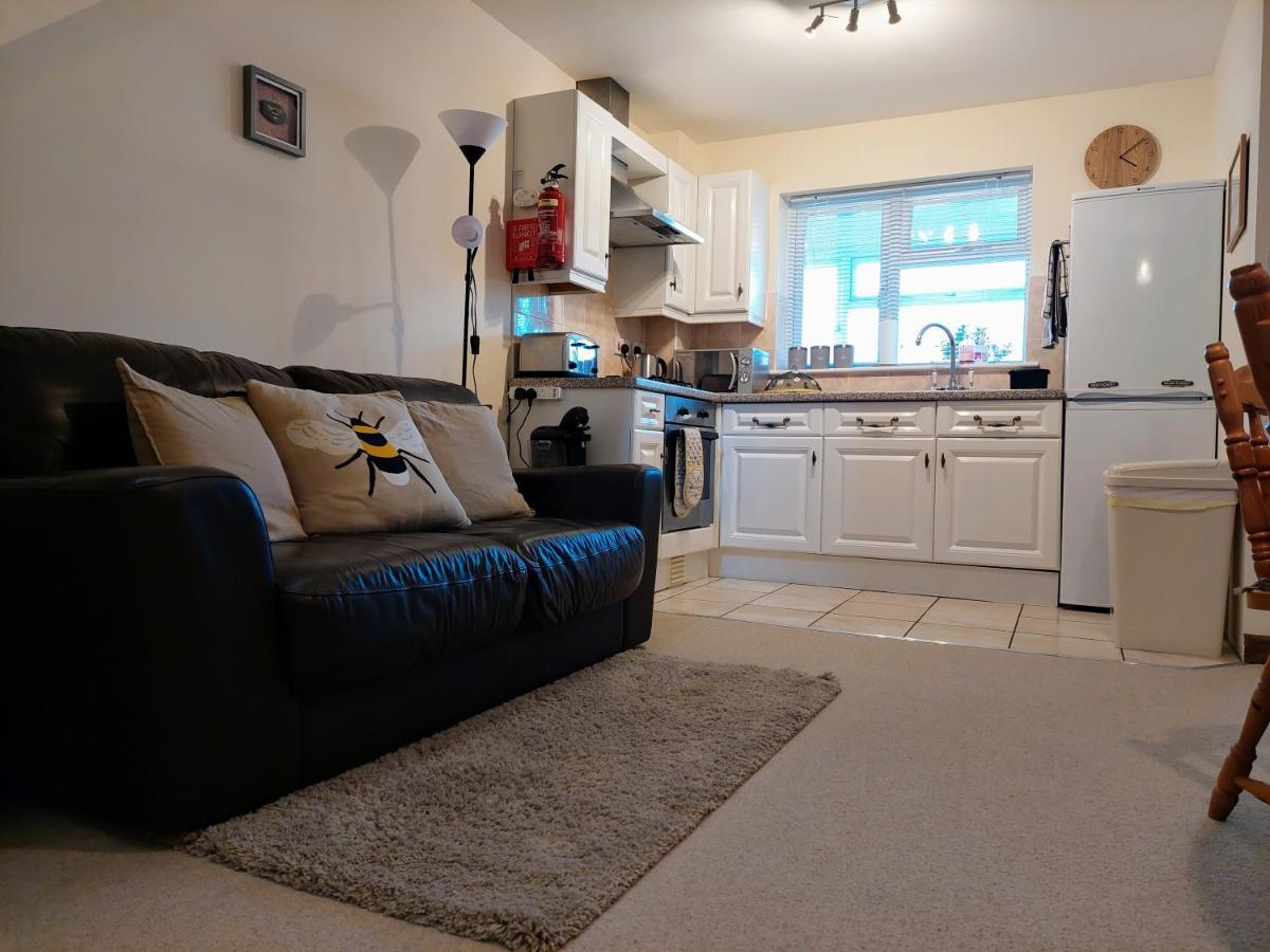 The Beehive - Self Catering In The Heart Of The Forest Of Dean Whitecroft ภายนอก รูปภาพ