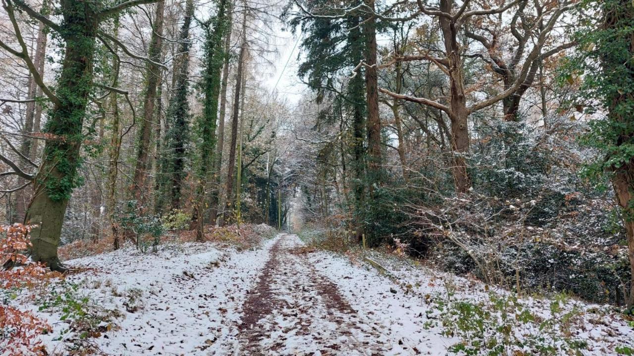 The Beehive - Self Catering In The Heart Of The Forest Of Dean Whitecroft ภายนอก รูปภาพ