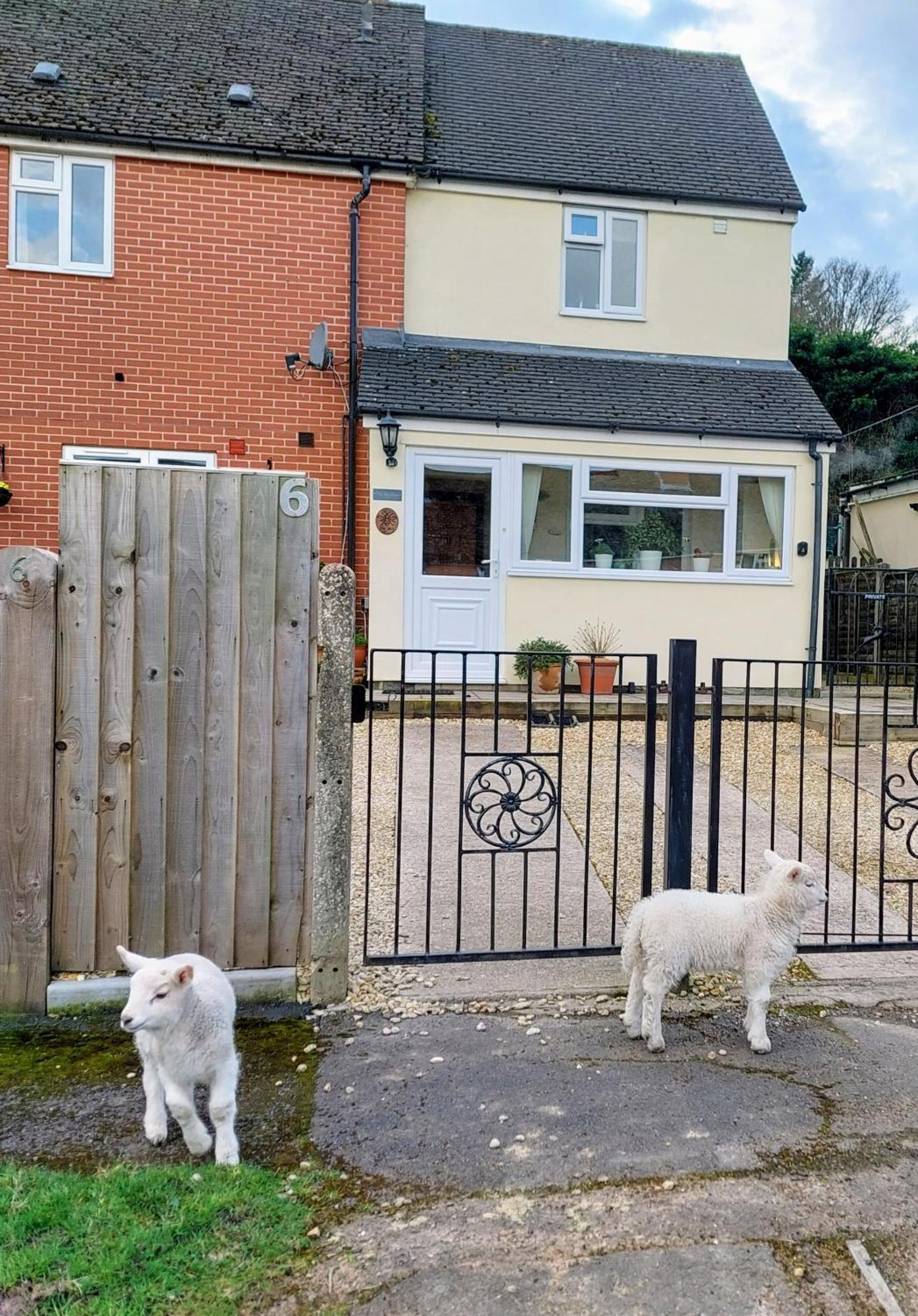 The Beehive - Self Catering In The Heart Of The Forest Of Dean Whitecroft ภายนอก รูปภาพ
